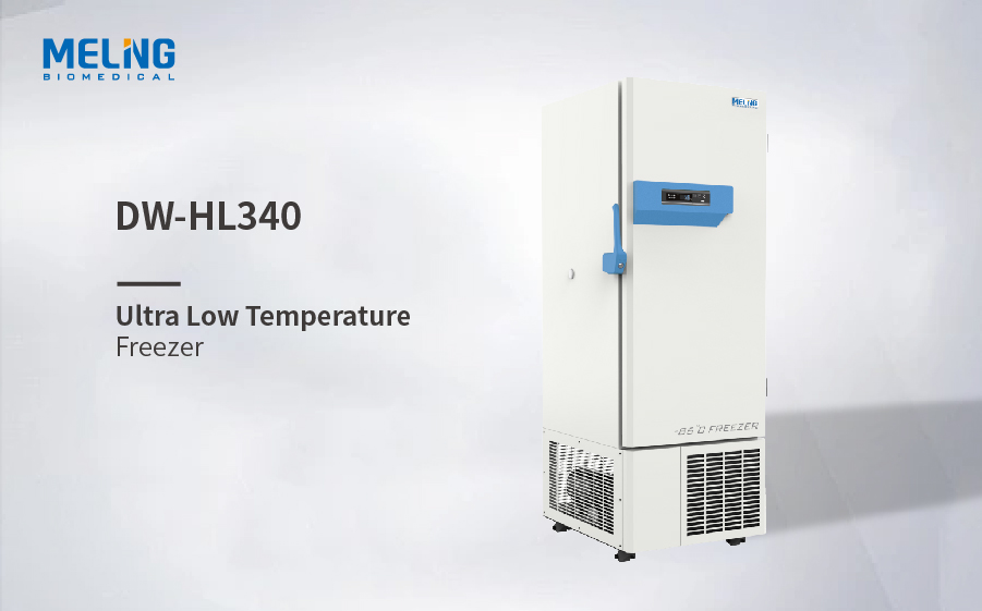 -86℃ Congélateur à très basse température économique DW-HL340
