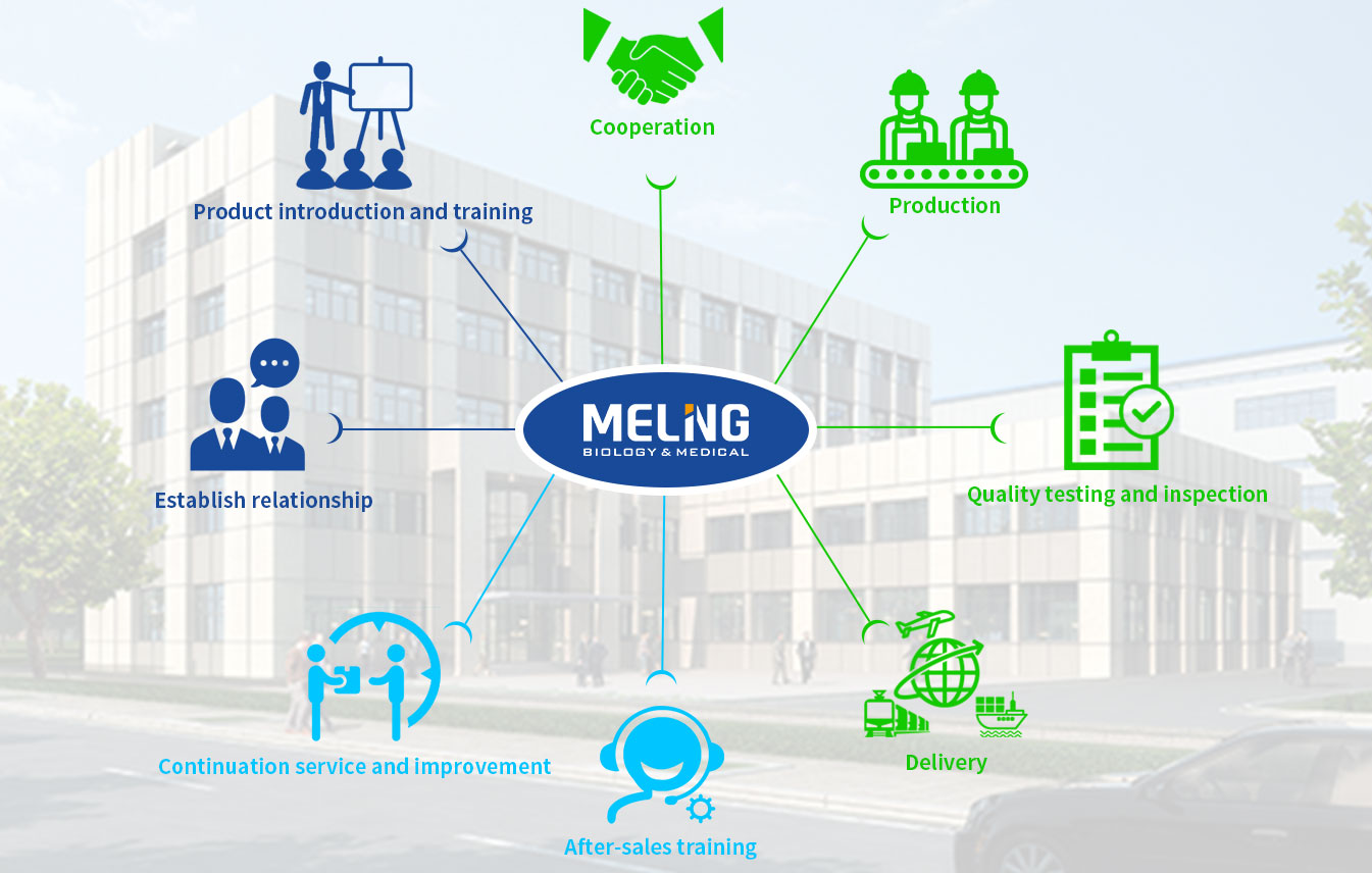 Meling service d'accompagnement de tout le processus, vous rend sans souci
